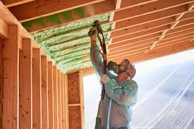 Best Eco-Friendly Insulation Solutions  in Wauwatosa, WI